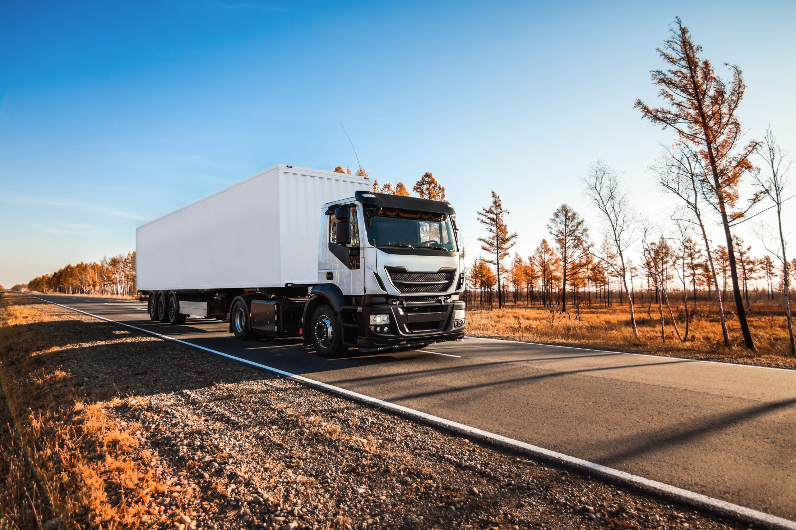 The Condition of the TSL Industry in Poland in 2025: Latest Reports